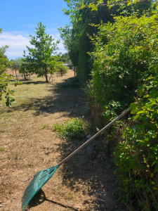 Photo de galerie - Jardinage et nettoyage 