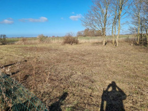 Photo de galerie - Tonte de pelouse - Débroussaillage