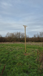 Photo de galerie - Création perchoir pour faucon crécerelle 