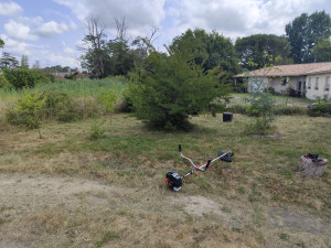 Photo de galerie - Tonte de pelouse - Débroussaillage