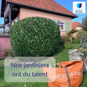Photo de galerie - Jardin après entretien (taille, tonte, etc.)