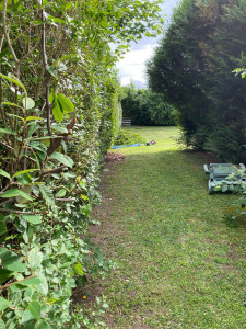 Photo de galerie - Taille de haies 