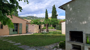 Photo de galerie - Elagage et coupe d'arbres
