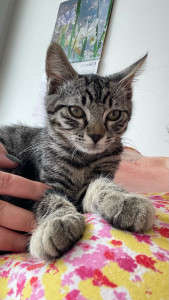 Photo de galerie - Gigi