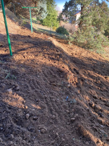 Photo de galerie - Terrassement - Assainissement