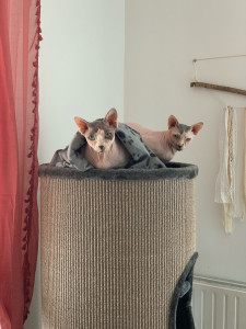 Photo de galerie - La maman Flora et le fils Holi