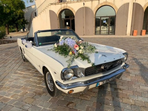 Photo de galerie - MUSTANG Cabriolet - Année 1966
État Collection

Prestation avec chauffeur journée ou 1/2 journée
