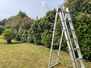 Photo de galerie - Taille de haies et d'arbustes