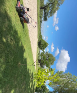 Photo de galerie - Tonte de pelouse - Débroussaillage