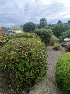 Photo de galerie - Taille 
