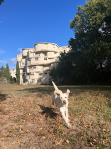 Photo de galerie - Ma vie qui vie sa best Life
