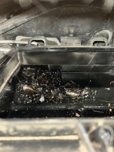 Photo de galerie - Limaille dans la boîte à air d’un véhicule 