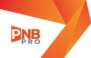 Photo de galerie - Logo PNB PRO
