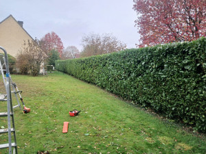 Photo de galerie - Taille de haie plusse évaluation dechet vert