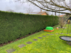 Photo de galerie - Taille