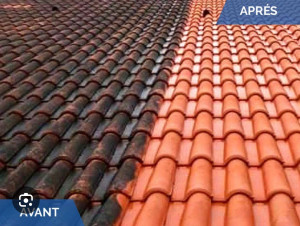 Photo de galerie - Couverture - Toiture