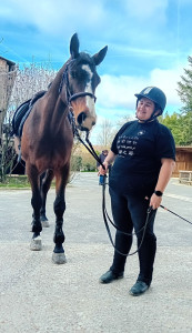 Photo de galerie - Pension chevaux
