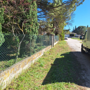 Photo de galerie - Taille de haies et d'arbustes