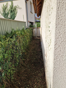 Photo de galerie - Feare prope , Débroussailler les passages , devant, derrière et les côtés aussi, cest un transformer. 