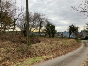 Photo de galerie - Tonte de pelouse - Débroussaillage