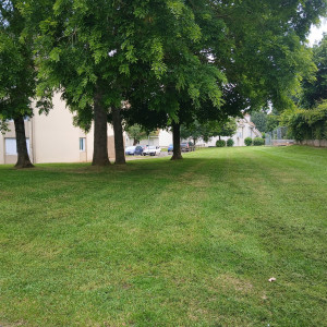 Photo de galerie - Photos après tonte des pelouses 