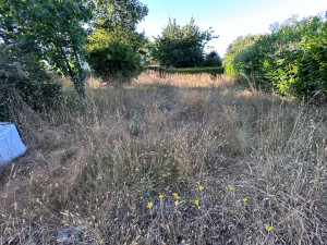 Photo de galerie - Tonte de pelouse - Débroussaillage