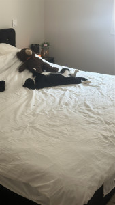 Photo de galerie - ?