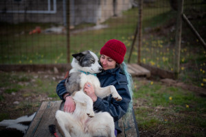 Photo de galerie - Garde de chiens