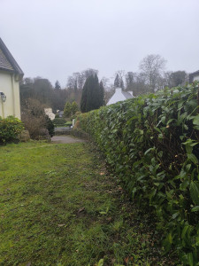 Photo de galerie - Elagage et coupe d'arbres