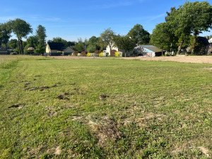 Photo de galerie - Création de pelouse 