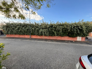 Photo de galerie - Taille de haies et d'arbustes