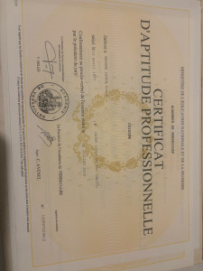 Photo de galerie - Certificat aptitude professionnelle 