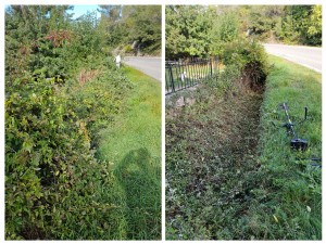 Photo de galerie - Debroussaillage bord de route.