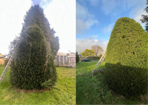 Photo de galerie - Taille à la main pour un résultat plus naturel : 50 euros pour 2 heures 