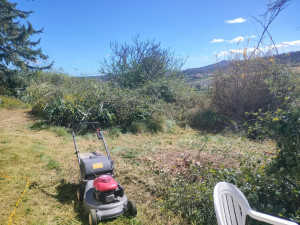 Photo de galerie - Tonte de pelouse, débroussaillage, clôture grillage murette 