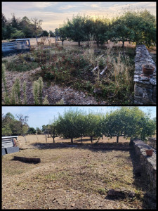 Photo de galerie - Débroussaillage d'un potager 