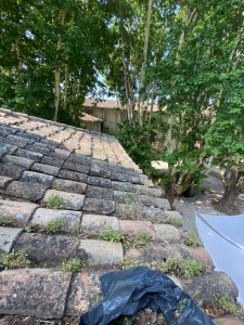 Photo de galerie - Extraction de la verdure qui c’est accumulé entre les tuiles et qui empêcher le bon écoulement 