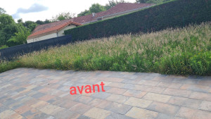 Photo de galerie - Passage de la débroussailleuse de la tondeuse et du coupe bordure 