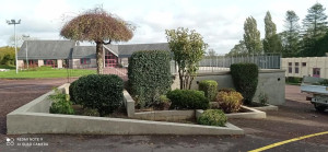 Photo de galerie - Divers tailles