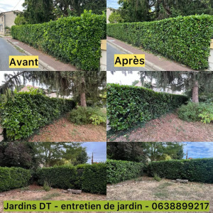 Photo de galerie - Avant / après 