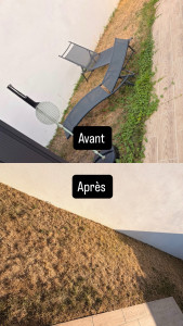 Photo de galerie - Désherbage d’un petit jardin 