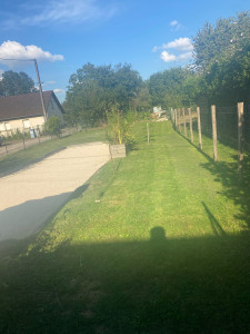 Photo de galerie - Tonte entretien de jardin , plantation arbre 