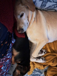 Photo de galerie - Bonaise ...?