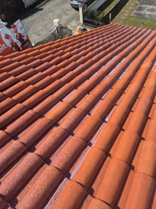 Photo de galerie - Toiture après nettoyage plus hydrofuge incolore 