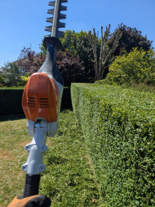 Photo de galerie - Troènes 