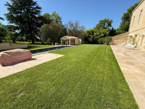 Photo de galerie - Tonte