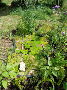 Photo de galerie - Paysagiste - Aménagement du jardin