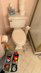 Photo de galerie - Nettoyer les toilettes 