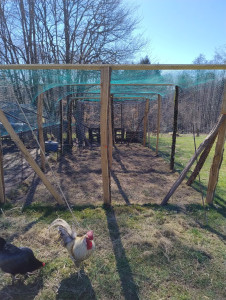 Photo de galerie - Création clôture et parc a volaille 
