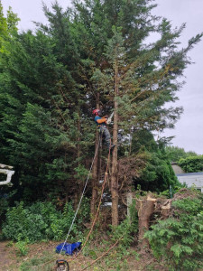 Photo de galerie - Démontage 